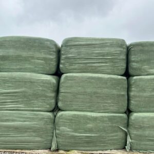 2024 Haylage